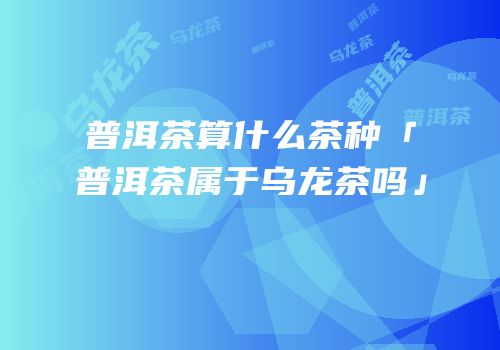 普洱茶算什么茶种「普洱茶属于乌龙茶吗」