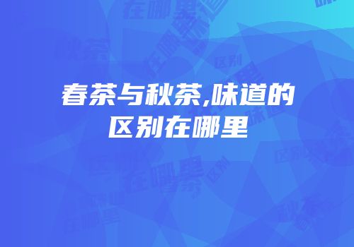春茶与秋茶,味道的区别在哪里