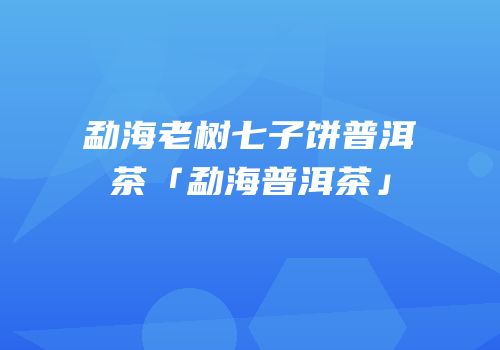 勐海老树七子饼普洱茶「勐海普洱茶」