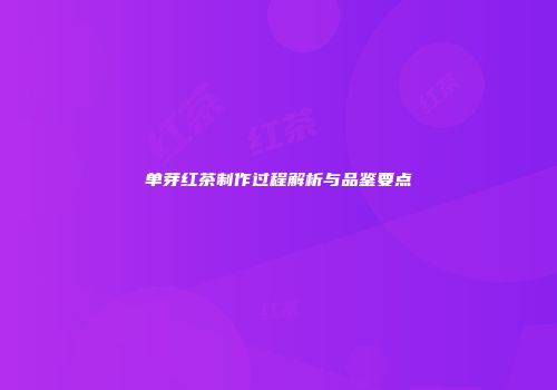 单芽红茶制作过程解析与品鉴要点