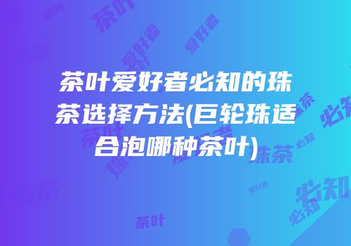茶叶爱好者必知的珠茶选择方法(巨轮珠适合泡哪种茶叶)