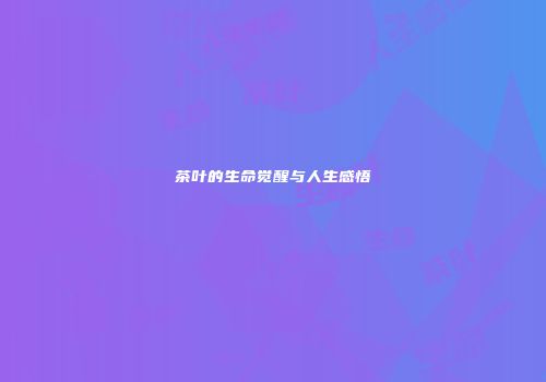 茶叶的生命觉醒与人生感悟