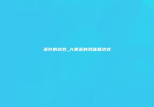 茶叶的功效_六堡茶的风味和功效