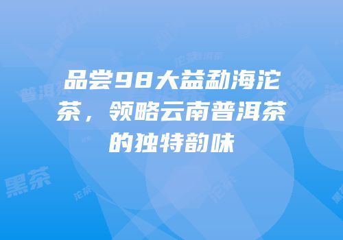 品尝98大益勐海沱茶，领略云南普洱茶的独特韵味