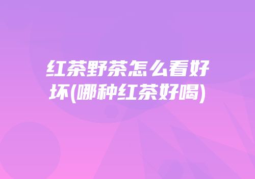 红茶野茶怎么看好坏(哪种红茶好喝)