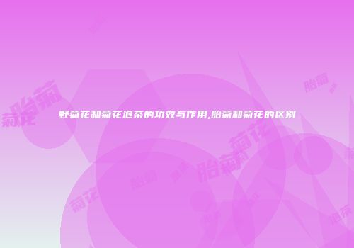 野菊花和菊花泡茶的功效与作用,胎菊和菊花的区别