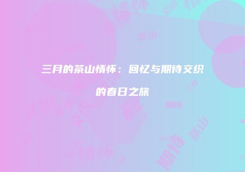 三月的茶山情怀：回忆与期待交织的春日之旅