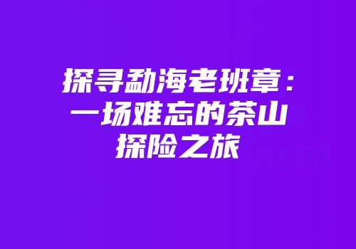 探寻勐海老班章：一场难忘的茶山探险之旅