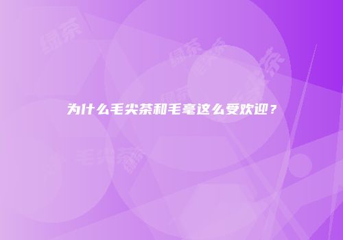 为什么毛尖茶和毛毫这么受欢迎？