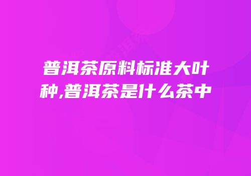 普洱茶原料标准大叶种,普洱茶是什么茶中