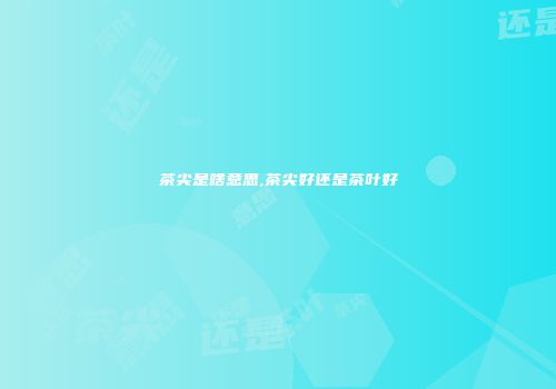 茶尖是啥意思,茶尖好还是茶叶好