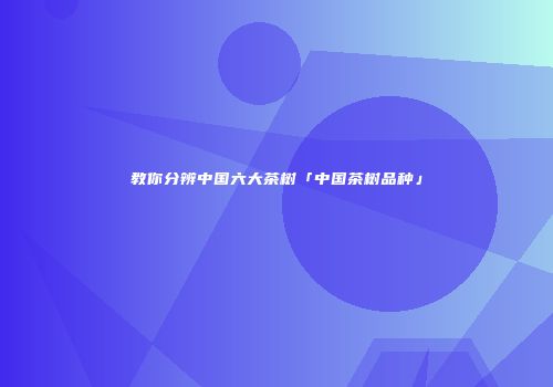 教你分辨中国六大茶树「中国茶树品种」