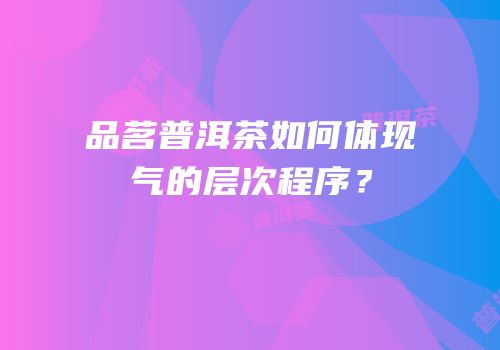 品茗普洱茶如何体现气的层次程序？