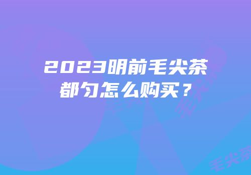 2023明前毛尖茶都匀怎么购买？