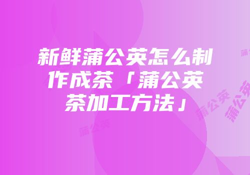 新鲜蒲公英怎么制作成茶「蒲公英茶加工方法」