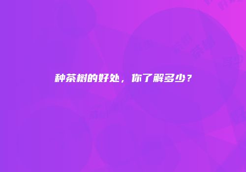 种茶树的好处，你了解多少？
