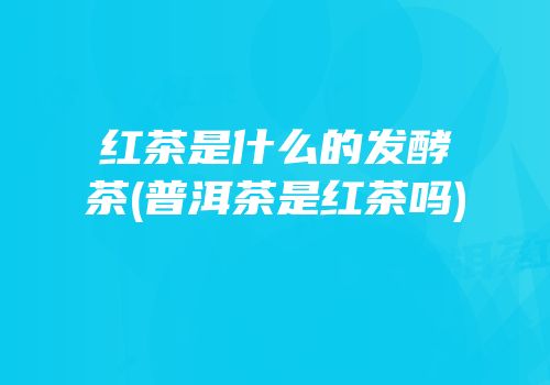 红茶是什么的发酵茶(普洱茶是红茶吗)