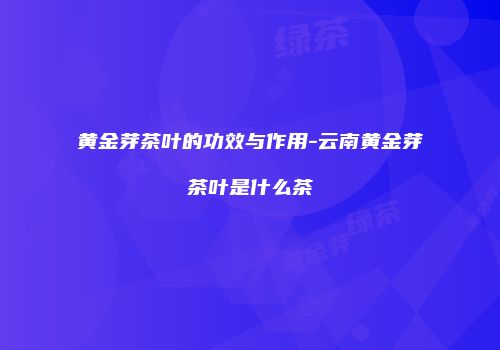 黄金芽茶叶的功效与作用-云南黄金芽茶叶是什么茶