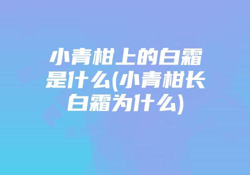 小青柑上的白霜是什么(小青柑长白霜为什么)
