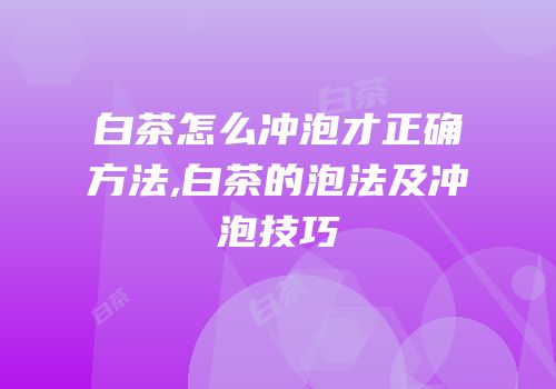 白茶怎么冲泡才正确方法,白茶的泡法及冲泡技巧