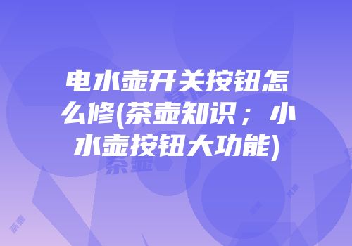 电水壶开关按钮怎么修(茶壶知识；小水壶按钮大功能)