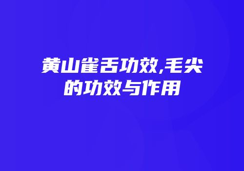黄山雀舌功效,毛尖的功效与作用