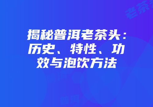 揭秘普洱老茶头：历史、特性、功效与泡饮方法