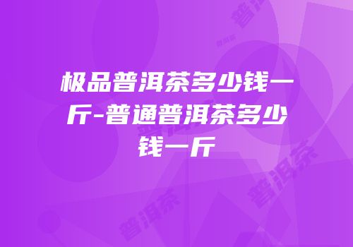 极品普洱茶多少钱一斤-普通普洱茶多少钱一斤
