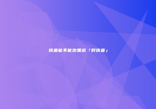 铁壶能不能泡黑茶「假铁壶」