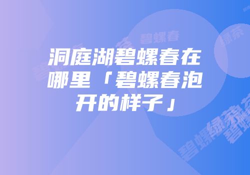 洞庭湖碧螺春在哪里「碧螺春泡开的样子」