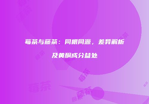 莓茶与藤茶：同根同源，差异解析及黄酮成分益处