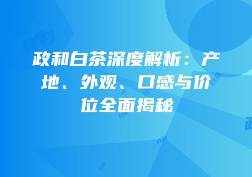 政和白茶深度解析：产地、外观、口感与价位全面揭秘