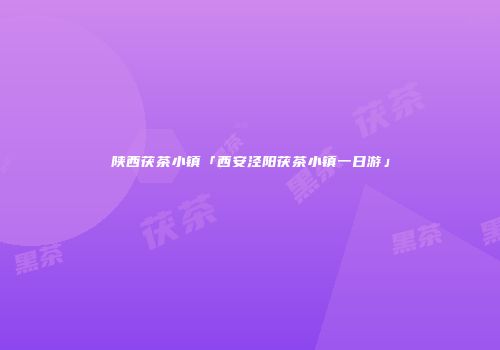 陕西茯茶小镇「西安泾阳茯茶小镇一日游」