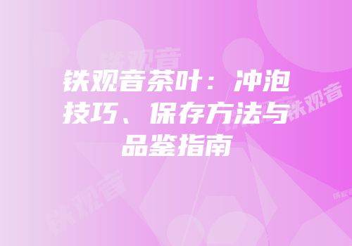 铁观音茶叶：冲泡技巧、保存方法与品鉴指南