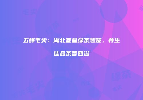 五峰毛尖：湖北宜昌绿茶翘楚，养生佳品茶香四溢