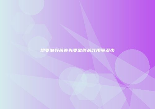 想要泡好茶首先要掌握茶叶用量多少
