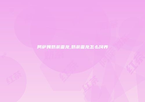 阿萨姆奶茶雷龙,奶茶雷龙怎么饲养
