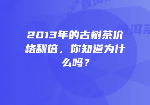 2013年的古树茶价格翻倍，你知道为什么吗？