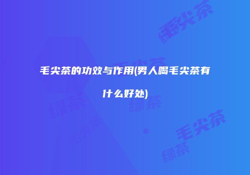毛尖茶的功效与作用(男人喝毛尖茶有什么好处)