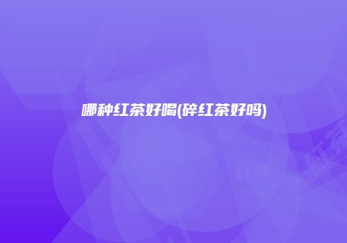 哪种红茶好喝(碎红茶好吗)
