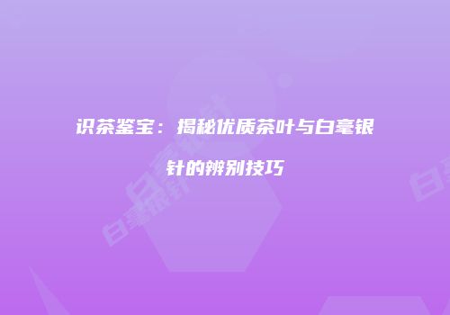 识茶鉴宝：揭秘优质茶叶与白毫银针的辨别技巧