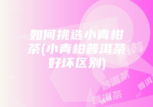 如何挑选小青柑茶(小青柑普洱茶好坏区别)