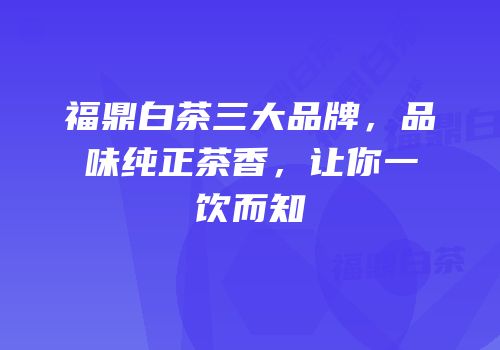 福鼎白茶三大品牌，品味纯正茶香，让你一饮而知
