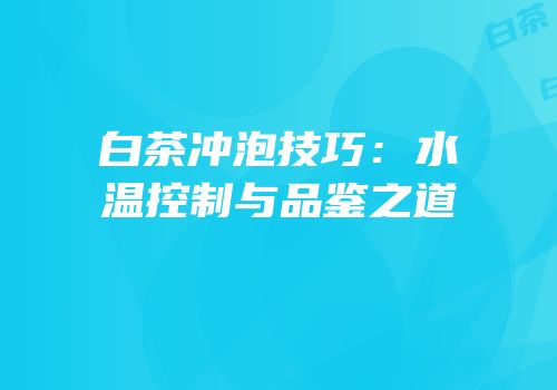 白茶冲泡技巧：水温控制与品鉴之道