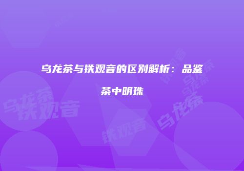 乌龙茶与铁观音的区别解析：品鉴茶中明珠