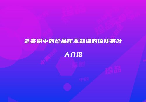 老茶树中的珍品你不知道的值钱茶叶大介绍