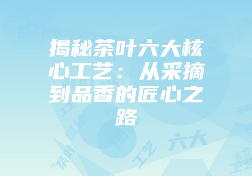 揭秘茶叶六大核心工艺：从采摘到品香的匠心之路