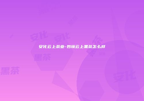 安化云上茶业-妙境云上黑茶怎么样