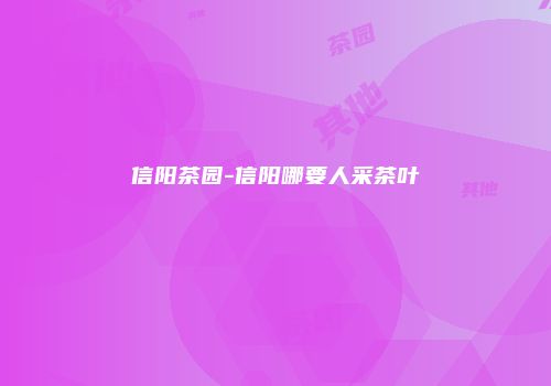 信阳茶园-信阳哪要人采茶叶