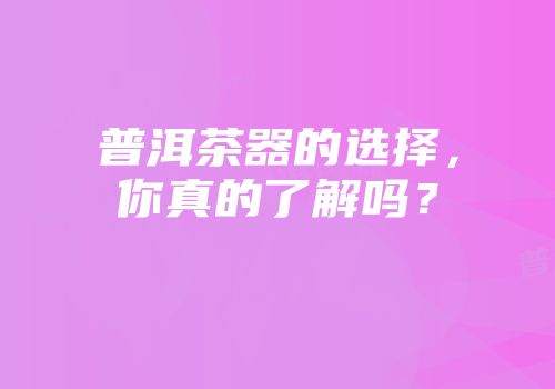 普洱茶器的选择，你真的了解吗？